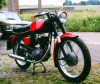 Morini Corsaro